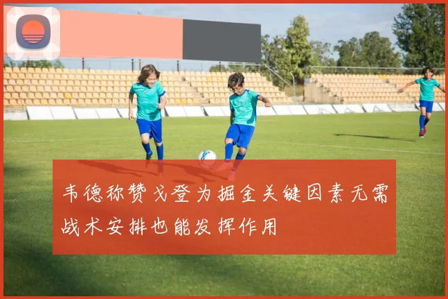 韦德称赞戈登为掘金关键因素无需战术安排也能发挥作用