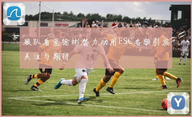 狼队看重徐彬潜力动用ESC名额引发关注与期待