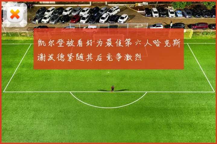 凯尔登被看好为最佳第六人哈克斯谢泼德紧随其后竞争激烈
