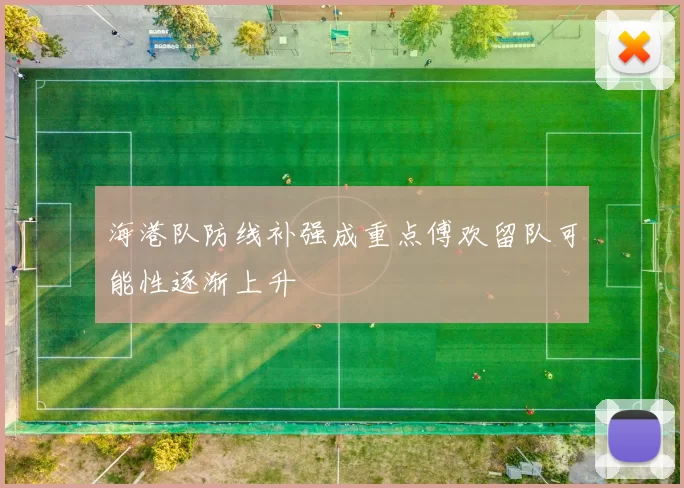 海港队防线补强成重点傅欢留队可能性逐渐上升
